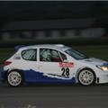 shake down-177